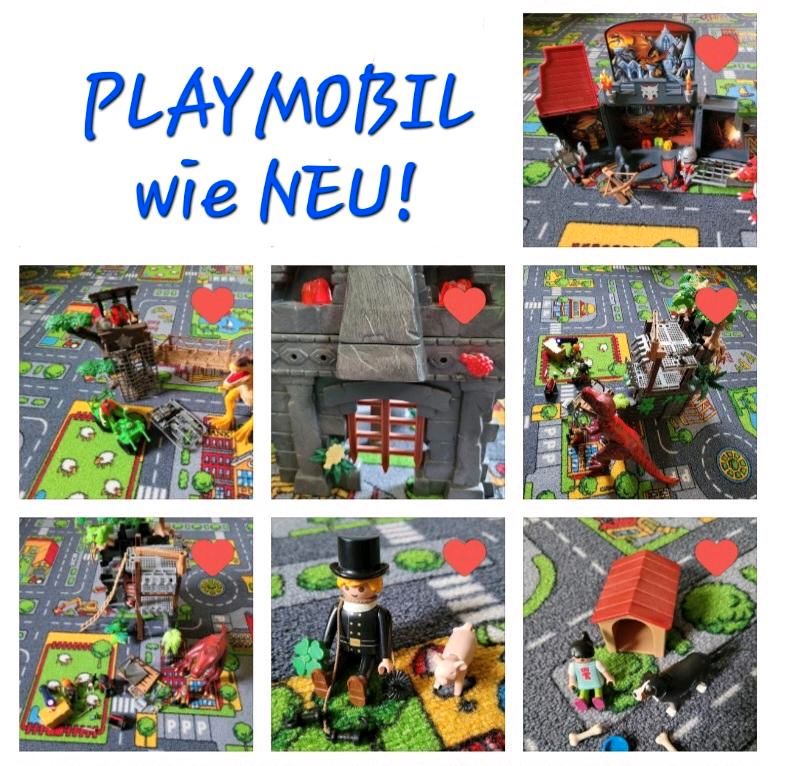 PLAYMOBIL Drachen Verließ Burg Ranger Schornsteinfeger Hund in Neuhaus