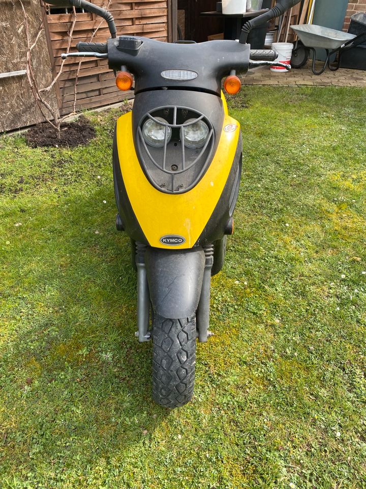 Kymco Top Boy 50 in Boffzen