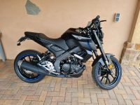 Yamaha MT125 in schwarz Sachsen - Roßwein Vorschau