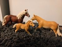 Schleich Pferde Haflinger Set Stute hengst exklusives Fohlen Niedersachsen - Norden Vorschau