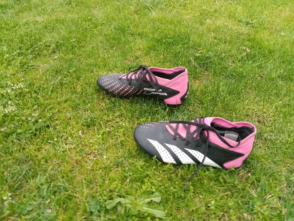 adidas Predator Jungen Fußballschuhe  sehr gut erhalten in Arnsdorf