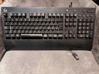Logitech G213 Prodigy RGB Gaming Tastatur Keyboard Y-U0029 Nürnberg (Mittelfr) - Oststadt Vorschau