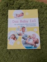 Buch "Das Baby 1x1" Hessen - Allendorf Vorschau