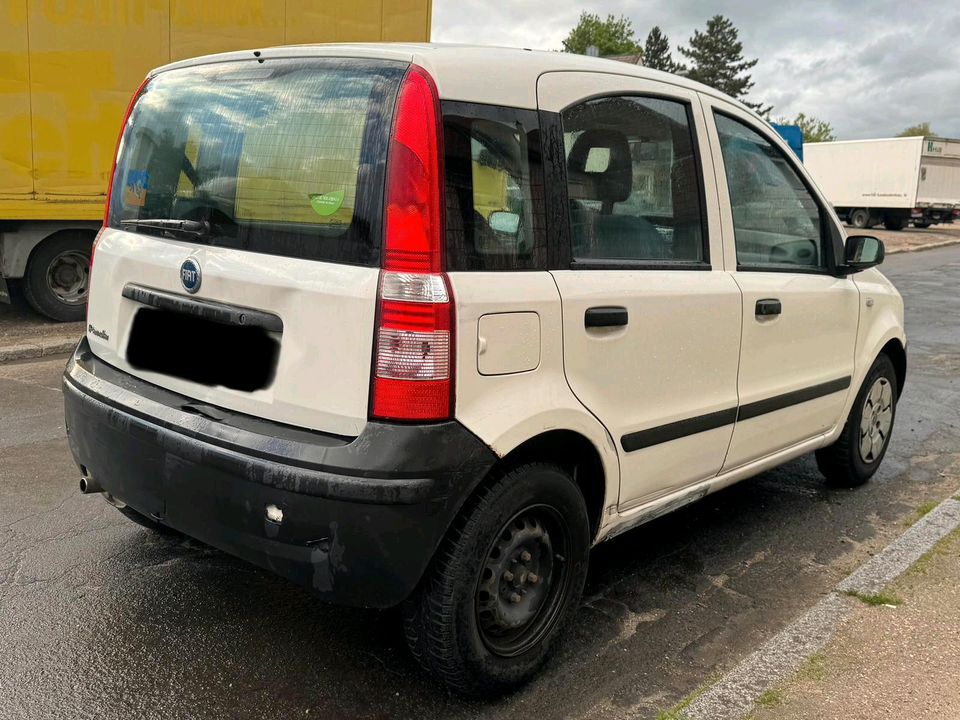 Fiat Panda 1.1 in Bobenheim-Roxheim