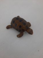 Schildkröte Schleich Schleswig-Holstein - Lübeck Vorschau