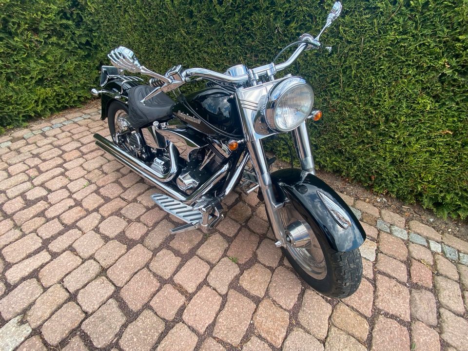 Harley Davidson Fatboy/ Softail Bj. 1998 erst 13.500 km in Naumburg (Saale)