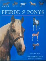 Buch Pferde und Ponys Sachsen - Löbau Vorschau