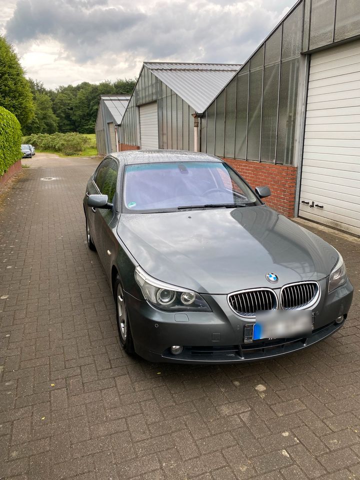 BMW E60 530D (abgemeldet) in Werther (Westfalen)