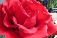 rote Rose groß Stoffrose Muttertag Geschenk Lieblingsmensch Hessen - Steinbach Vorschau