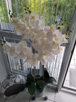 XL Künstliche Orchidee Rheinland-Pfalz - Hargesheim Vorschau