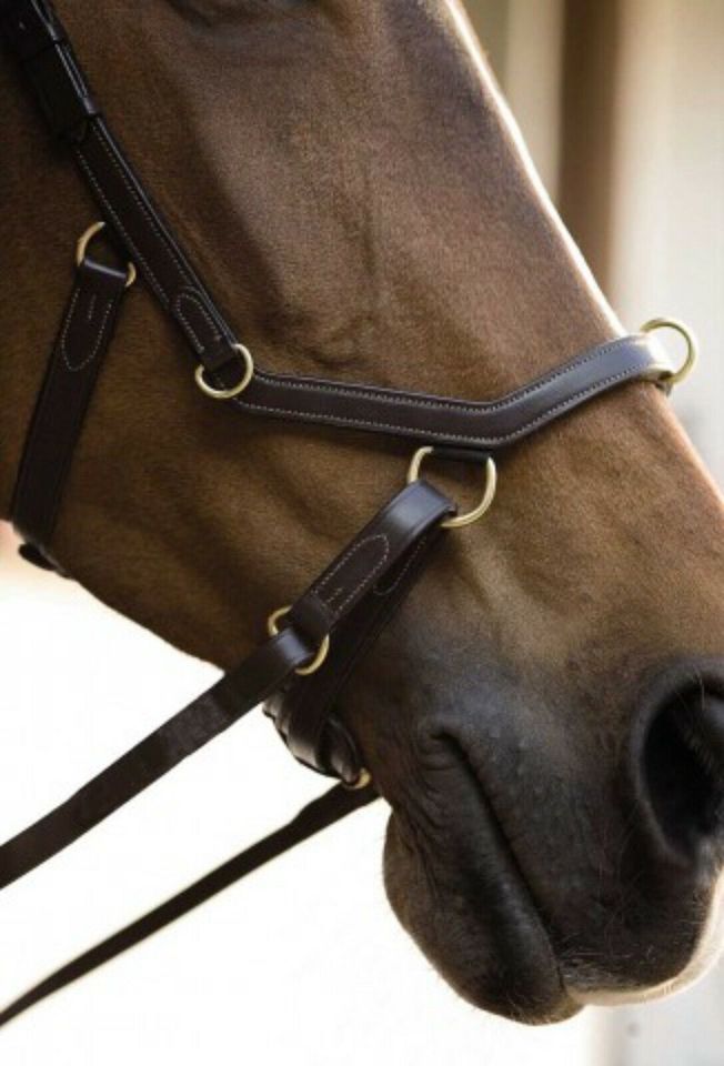 %% Horseware Micklem Multi Bridle UVP 186,95 - unser Preis 109.- € als Kappzaum oder Trense,reiten, longieren, führen,Ledertrense anatomisch auch als gebisslose Zäumung nutzbar Neuware braun in Kempen