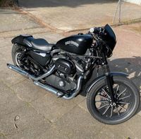 Harley Davidson Iron 883 Niedersachsen - Lüneburg Vorschau