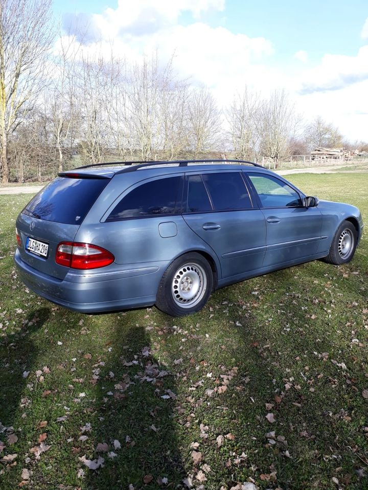 Mercedes E280 CDI W211 V6 7G- Tronic Kombi usw. in Lauingen a.d. Donau