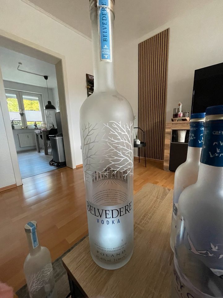 Wodka Flaschen,leer, Belvedere,Grey Goose,Three sixty etc in Bottrop