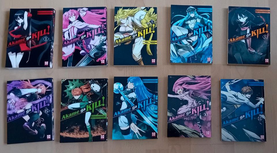 Akame ga kill 1-6 (Kaze) in Stuttgart