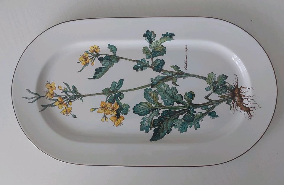 große ovale Villeroy & Boch Botanica Servierplatte Porzellan45x26 in Goch