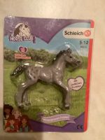 Schleich Ahorne Club Fohlen Nr. 11 Neu OVP Niedersachsen - Sarstedt Vorschau