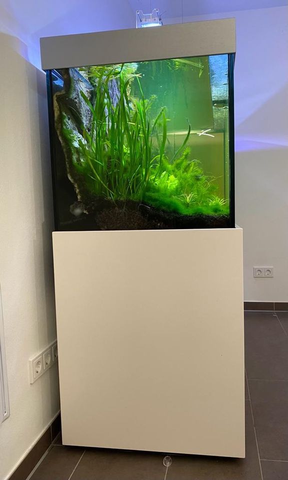 Aquariumbecken mit Unterschrank 160x60x60 in Aarbergen