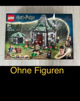 Lego 76428 Harry Potter Hagrids Hütte Neu ohne Figuren Rheinland-Pfalz - Altleiningen Vorschau