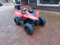 CFMoto CForce 110, Kinderquad, OFFROAD Niedersachsen - Molbergen Vorschau