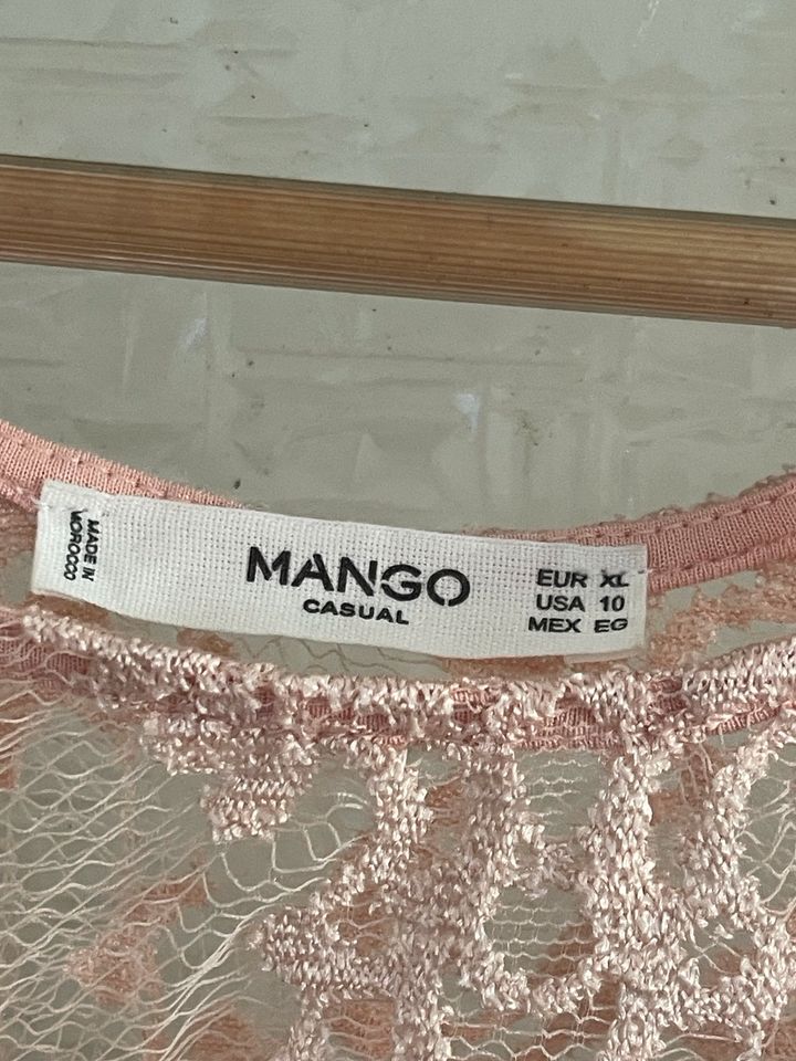 Mango Spitze Oberteil Rose Kleid xl in Hamburg