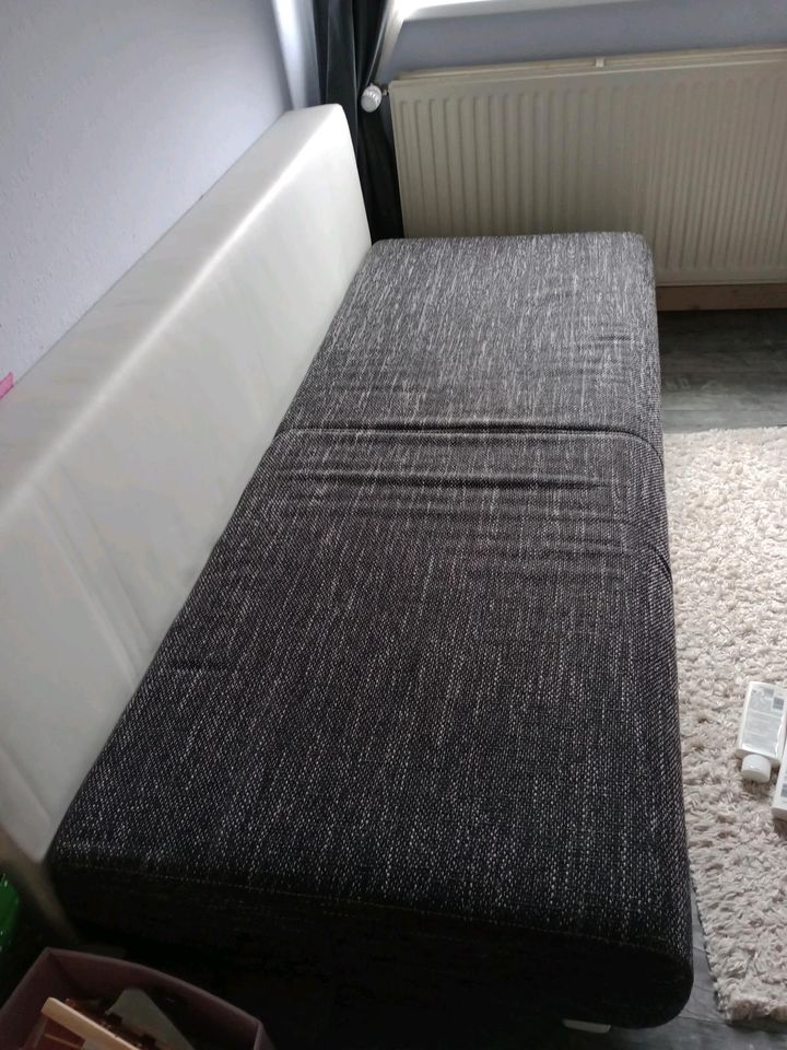 Sofa mit Schlaffunktion in Lüneburg