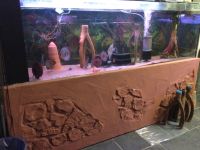 Aquarium 220x60x70 mit Innenfilter 950 Liter Sonderanfertigungen Hessen - Biebergemünd Vorschau