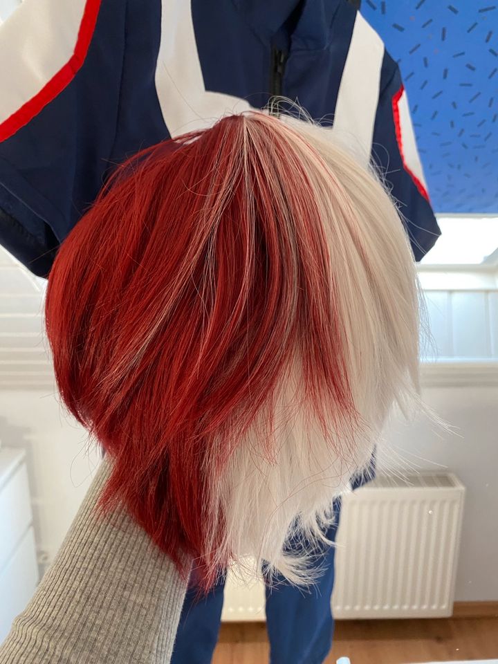 Shoto Todoroki Cosplay mit Perücke, Größe S in Nordrhein-Westfalen -  Elsdorf | eBay Kleinanzeigen ist jetzt Kleinanzeigen