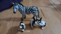 Schleich diverse Tiere Zebra Katze Hasen Nordrhein-Westfalen - Leverkusen Vorschau