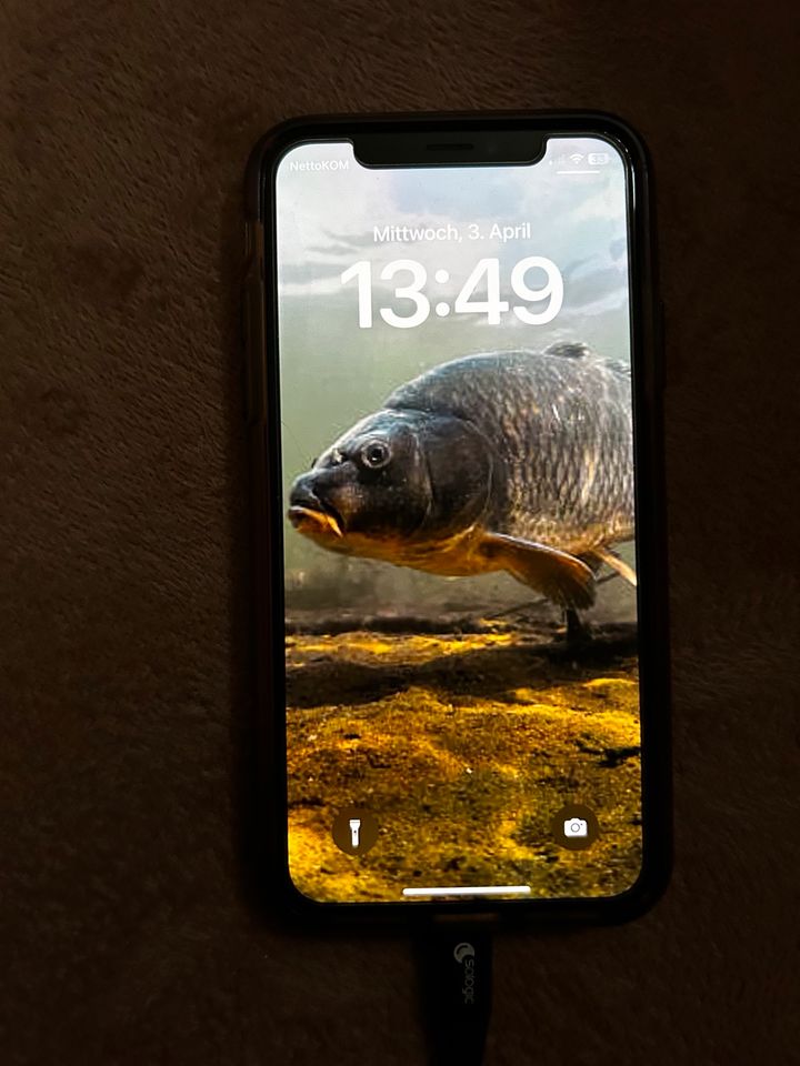 iPhone 10 mit induktionsladegerät in Wustermark