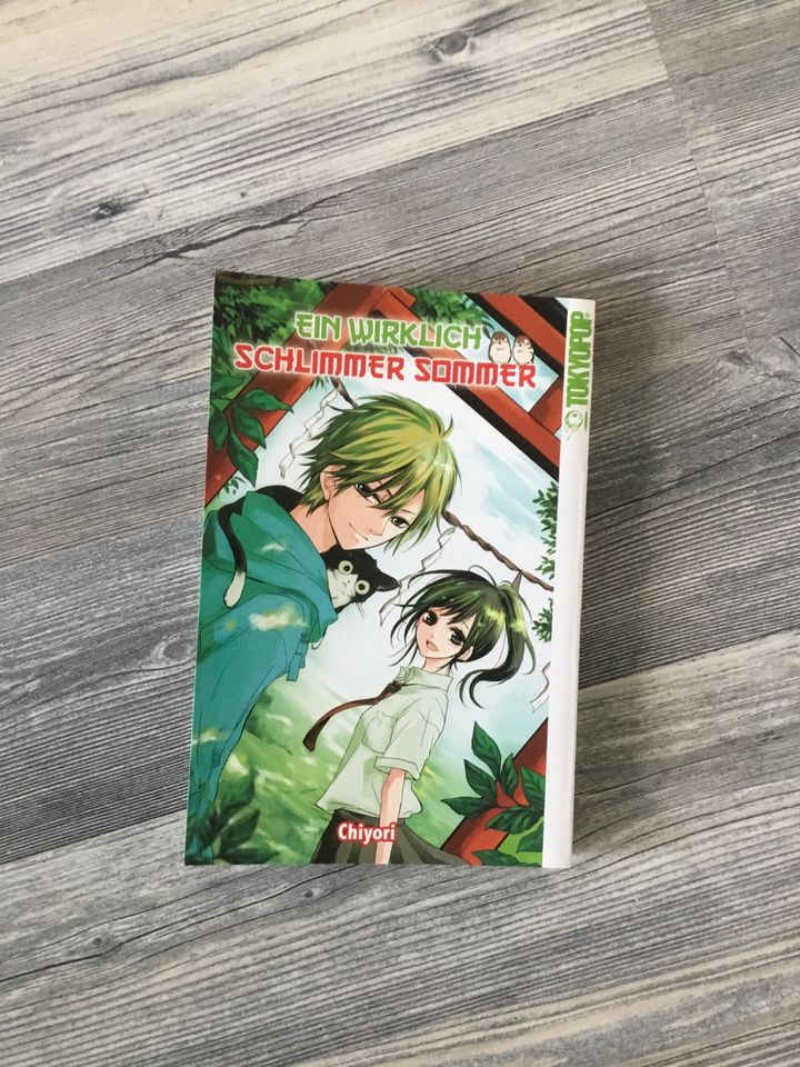 Ein wirklich schlimmer Sommer   Einzelband Manga in Hettenleidelheim