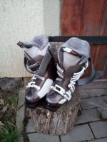 Skistiefel Gr. 36 für Frauen/junge Erwachsene Salomon Sachsen - Nossen Vorschau