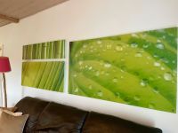 Wandbild groß grün Set Bilder Küche Pflanze Bambus Blatt wohnzimm Köln - Rodenkirchen Vorschau