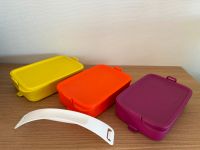 Tupperware Klick&Go 3er Set Baden-Württemberg - Weinheim Vorschau