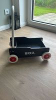 Brio Lauflernwagen Schleswig-Holstein - Schenefeld (Kreis Steinburg) Vorschau