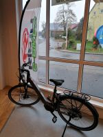 RIEJU EBike City integrated 625 silber 45 Niedersachsen - Kalefeld Vorschau