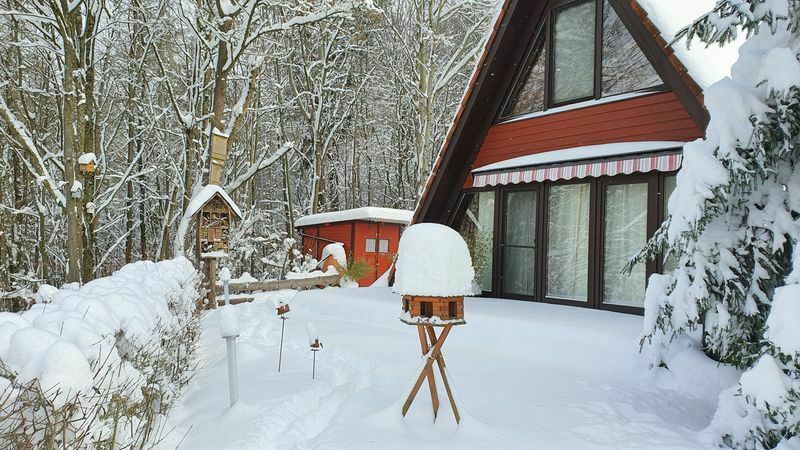 Ferienhaus am Wald Weihnachten 2024 in Ronshausen