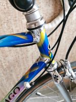 Colnago Master Olympic Campagnolo Record Rennrad Baden-Württemberg - Tübingen Vorschau