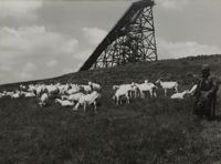 Fotografien Fotokunst Winterberg ca. 60er J. Kräling + Postkarte Nordrhein-Westfalen - Herne Vorschau