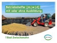 ❤️ Betriebshelfer [m|w|d] für die Landwirtschaft ❤️ Niedersachsen - Bad Zwischenahn Vorschau