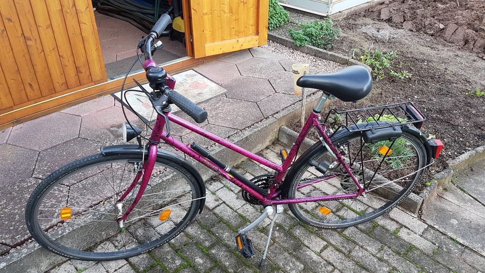 Gepflegtes Damenrad in top Zustand 28 Zoll in Rosenfeld