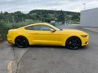 Ford Mustang 2.3 EcoBoost 50 Years Edition Wuppertal - Elberfeld Vorschau