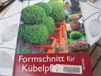 Gartenbuch - Formschnitt für Kübelpflanzen Baden-Württemberg - Künzelsau Vorschau