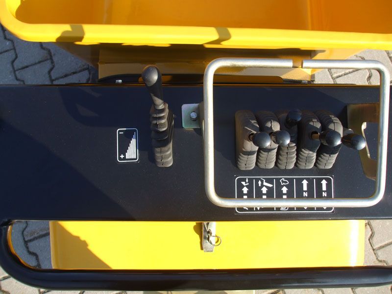Kettendumper Vollhydraulisch Benzin oder Diesel,Selbstlader in Lübbenau (Spreewald)