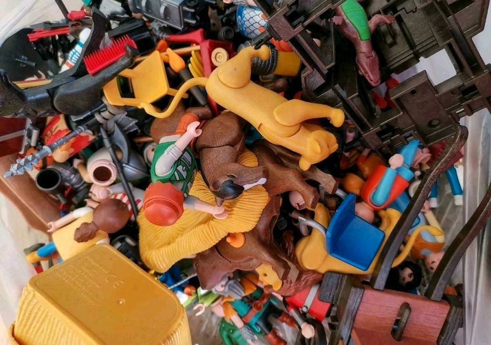 Playmobil Sammlung in Vöhringen