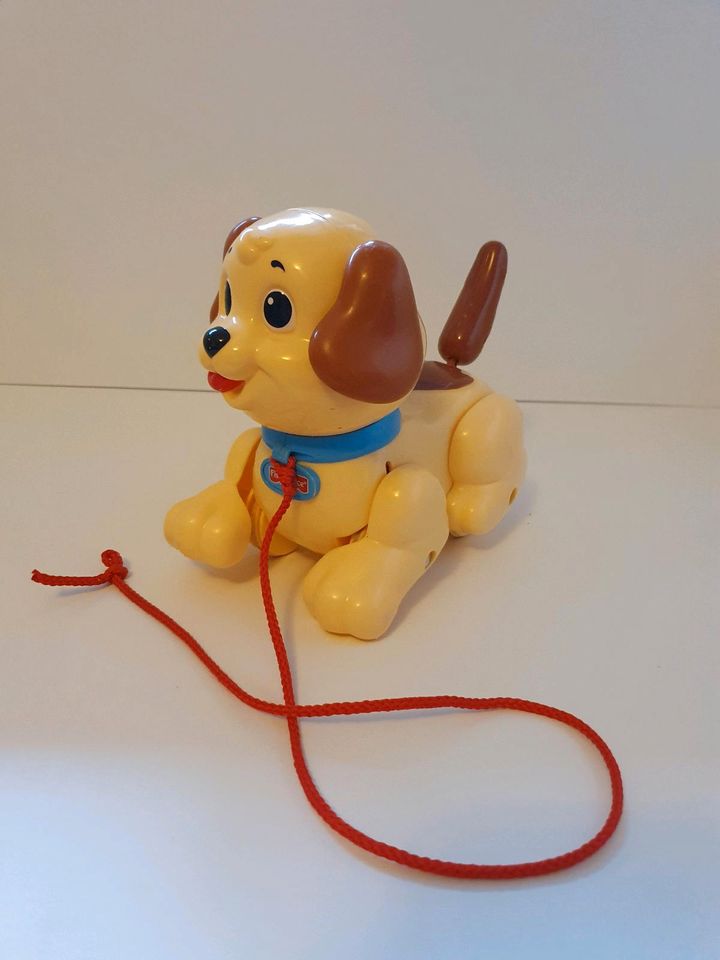 Hund Ziehtier Spielzeug in Raesfeld