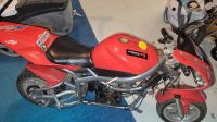 Kleine pocket bike Baden-Württemberg - Bad Peterstal-Griesbach Vorschau