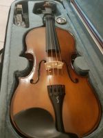 Stentor Graduate Violine Nordrhein-Westfalen - Detmold Vorschau