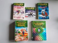Das magische Baumhaus CD Buch 1 2 3 12 34 Paket Konvolut Kinder Baden-Württemberg - Erligheim Vorschau