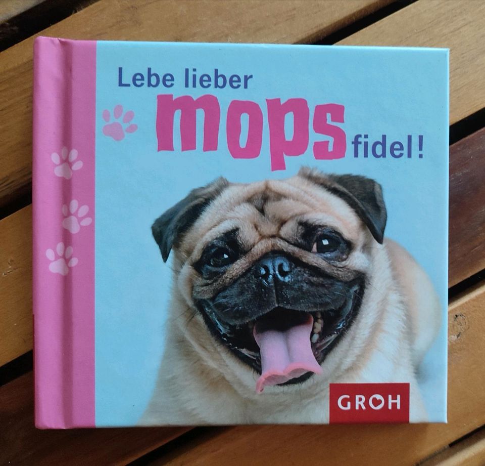 Buch Hund Mops "LEBE LIEBER MOPSFIDEL" Groh Verlag **NEU** in Dresden